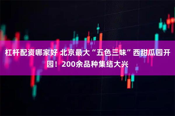 杠杆配资哪家好 北京最大“五色三味”西甜瓜园开园！200余品种集结大兴